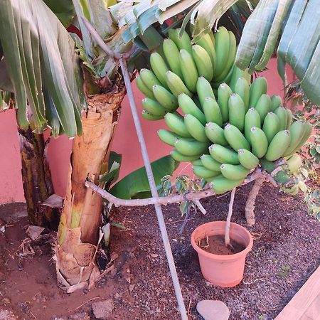 Casita La Gomera ซานเซบาสเตียน เด ลาโกเมรา ภายนอก รูปภาพ