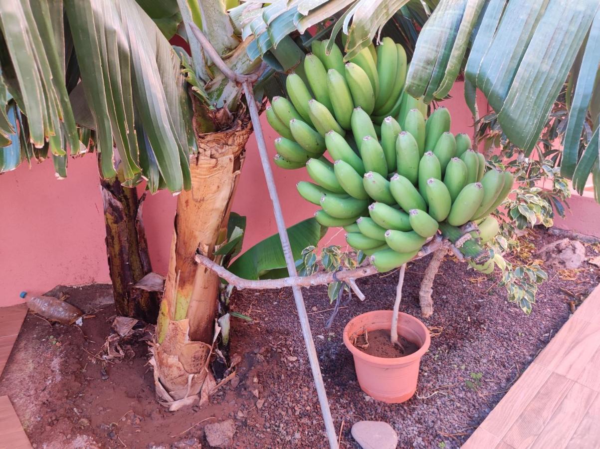 Casita La Gomera ซานเซบาสเตียน เด ลาโกเมรา ภายนอก รูปภาพ